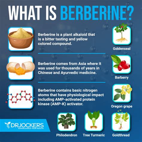 how berberine work on diabetes